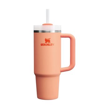 Quencher H2.0 Adventure Nectarine | 887 Ml