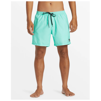 Traje de Baño Quiksilver Everyday Solid Volley 15